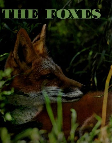 The foxes.