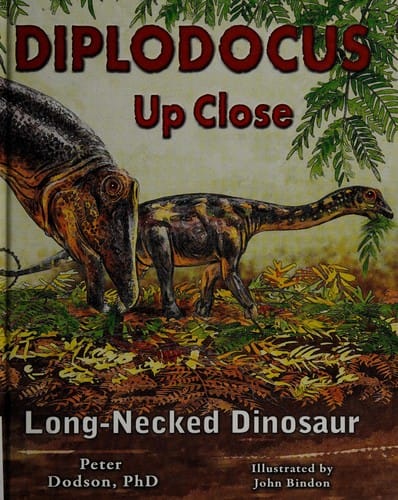 Diplodocus up close: long-necked dinosaur