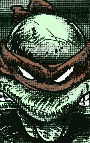 Teenage Mutant Ninja Turtles: Collected Book Volume One