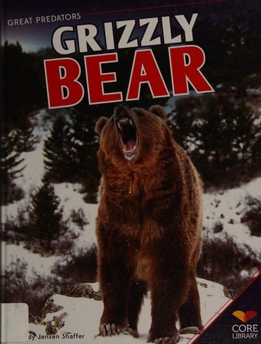 Grizzly bear