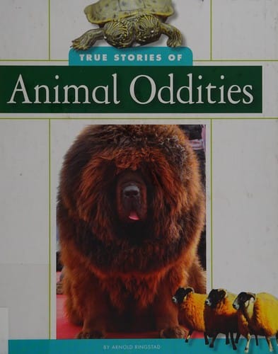 True stories of animal oddities
