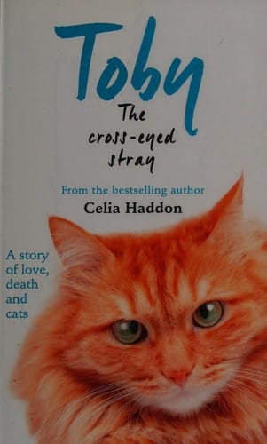 Toby the cross-eyed stray