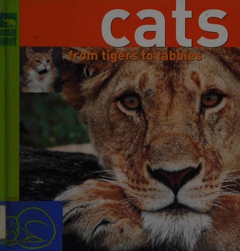 Cats: from tigers to tabbies