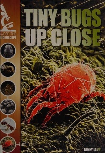 Tiny bugs up close