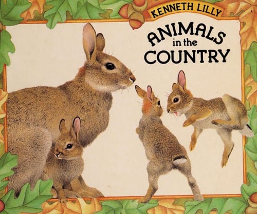Animals in the country