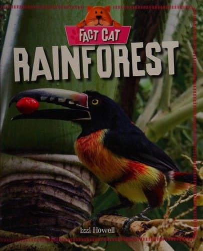 Rainforest