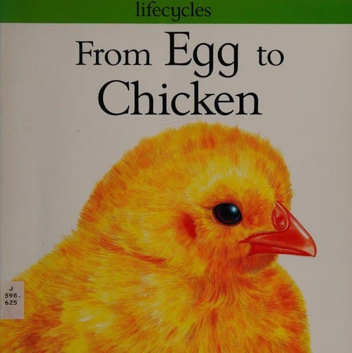 From Egg to Chicken (Lifecycles)