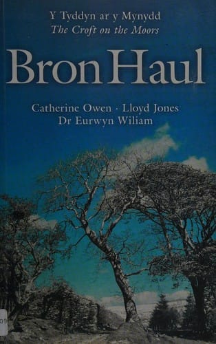 Bron haul: y tyddyn ar y mynydd = the croft on the moors