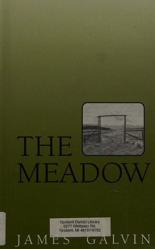 The meadow