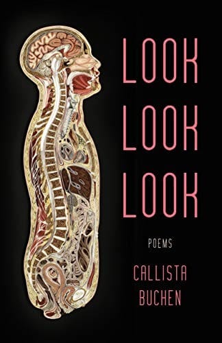 Look Look Look: Poems