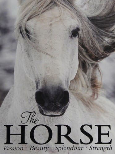 The horse: passion, beauty, splendor, strength