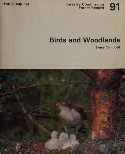 Birds and woodlands