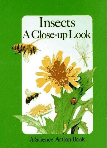 Insects: a close-up look