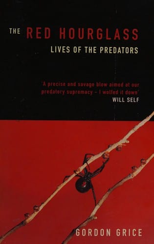 The red hourglass: lives of the predators