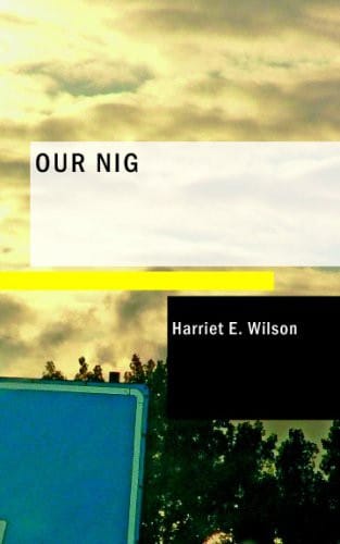 Our Nig : Or: sketches from the life of a free black; in a t
