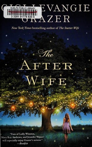 The after wife: a novel