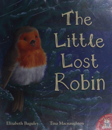 The little lost robin
