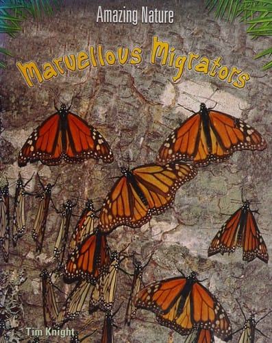 Marvellous migrators