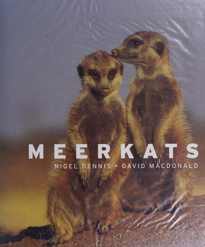 Meerkats