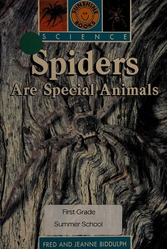 Spiders are special animals