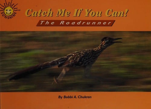 Catch me if you can!: the roadrunner