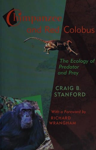 Chimpanzee and red colobus: the ecology of predator and prey