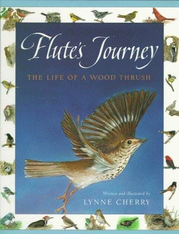Flute's journey: the life of a wood thrush