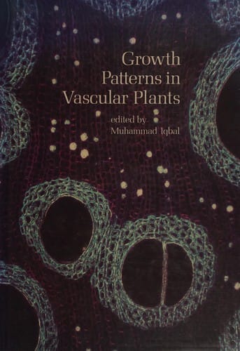 Growth patterns in vascular plants