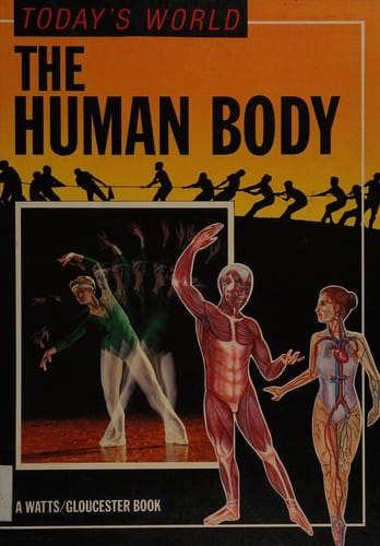 The human body
