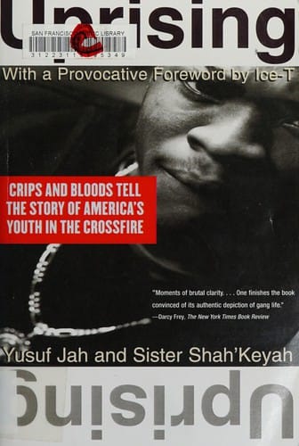 Uprising: Crips and Bloods tell the story of America's youth in the crossfire