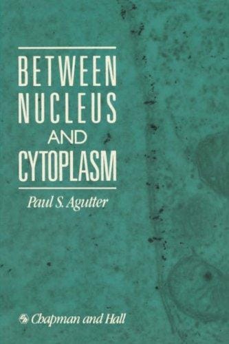 Between Nucleus and Cytoplasm