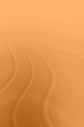 Ceremony and Ritual in Japan: Religious Practices in an Industrialized Society (Nissan Institute Routledge Japanese Studies Series)