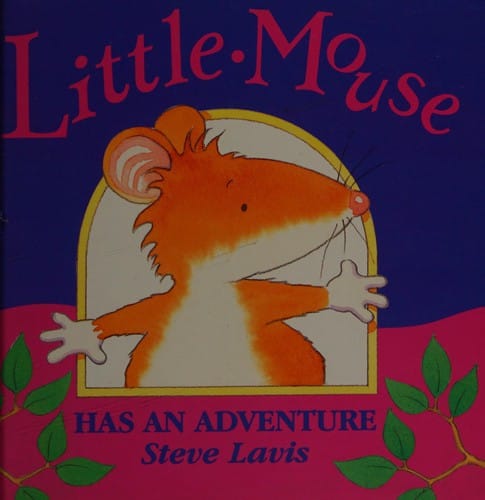 Little Mouse has an adventure