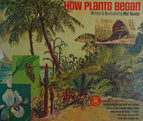 How plants began.