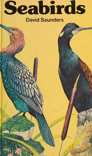 Seabirds