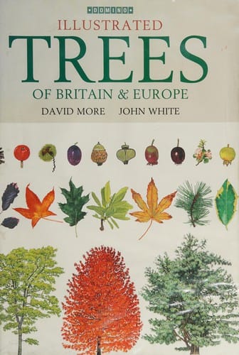 Illustrated trees of Britain & Europe