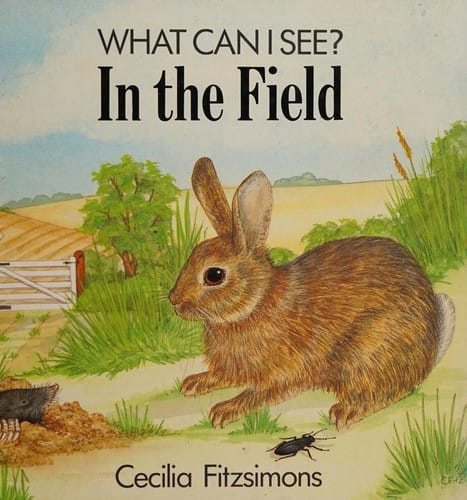What Can I See?