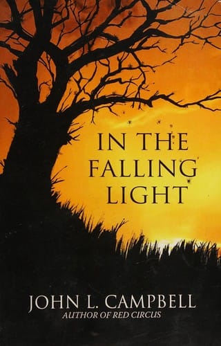 In the falling light