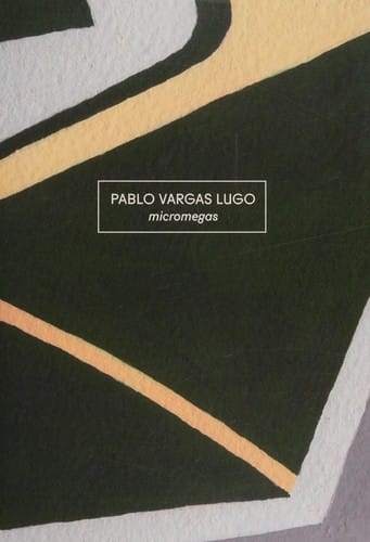 Pablo Vargas Lugo: micromegas