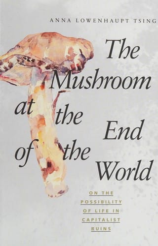 The mushroom at the end of the world: on the possibility of life in capitalist ruins