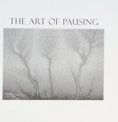 The art of pausing: meditations for the overworked and overwhelmed