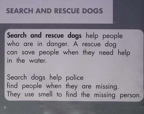 Working dogs