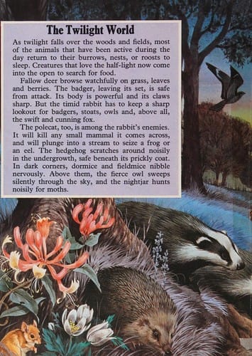 Exploring the midnight world