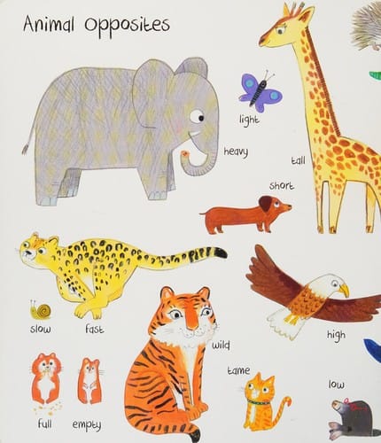 The book of opposites