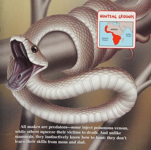 Predators! (Know-It-Alls)