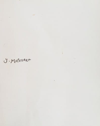 Jan Miense Molenaer: painter of the Dutch golden age