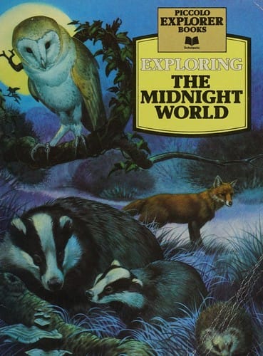 Exploring the Midnight World