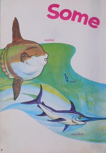 Some of us walk ... some fly ... some swim