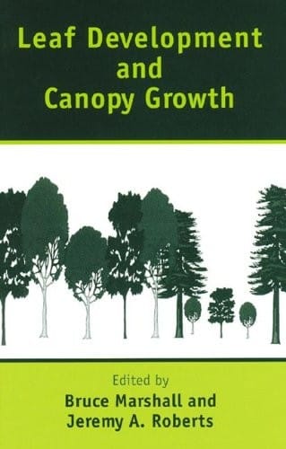 Leaf development and canopy growth