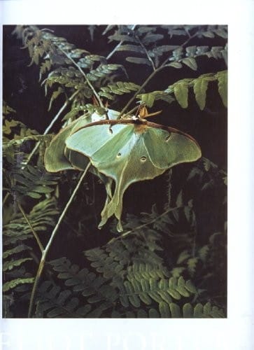 Eliot Porter: The Color of Wildness